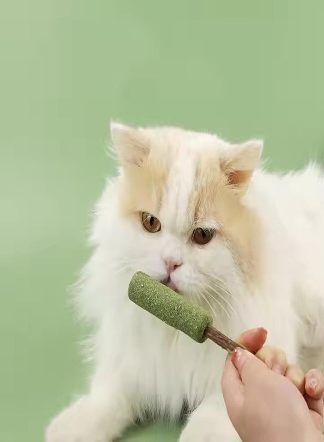 PET FUN مجموعة ألعاب كرات النعناع البري من بيت فن | مكافآت بوكي طبيعية بنكهة النعناع البري لتنظيف الأسنان والمضغ واللعق | نفس منعش ومرح للقطط والقطط الصغيرة - Image 2